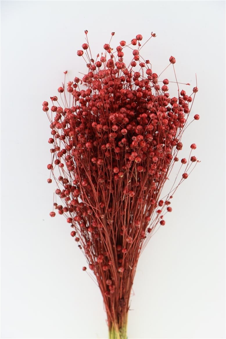 c831ee3e-8fe5-4d6e-af7d-670664961b68-vrijstaandbeeld.jpg (6076789) 