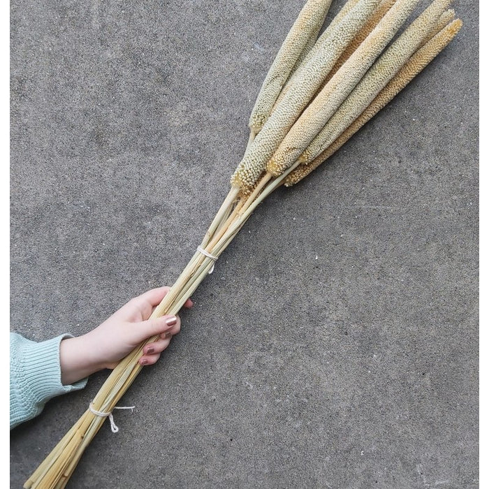 95c6330a-48d8-4cfa-bba6-4ad27eba5b4e-vrijstaandbeeld.jpg (6076904) 