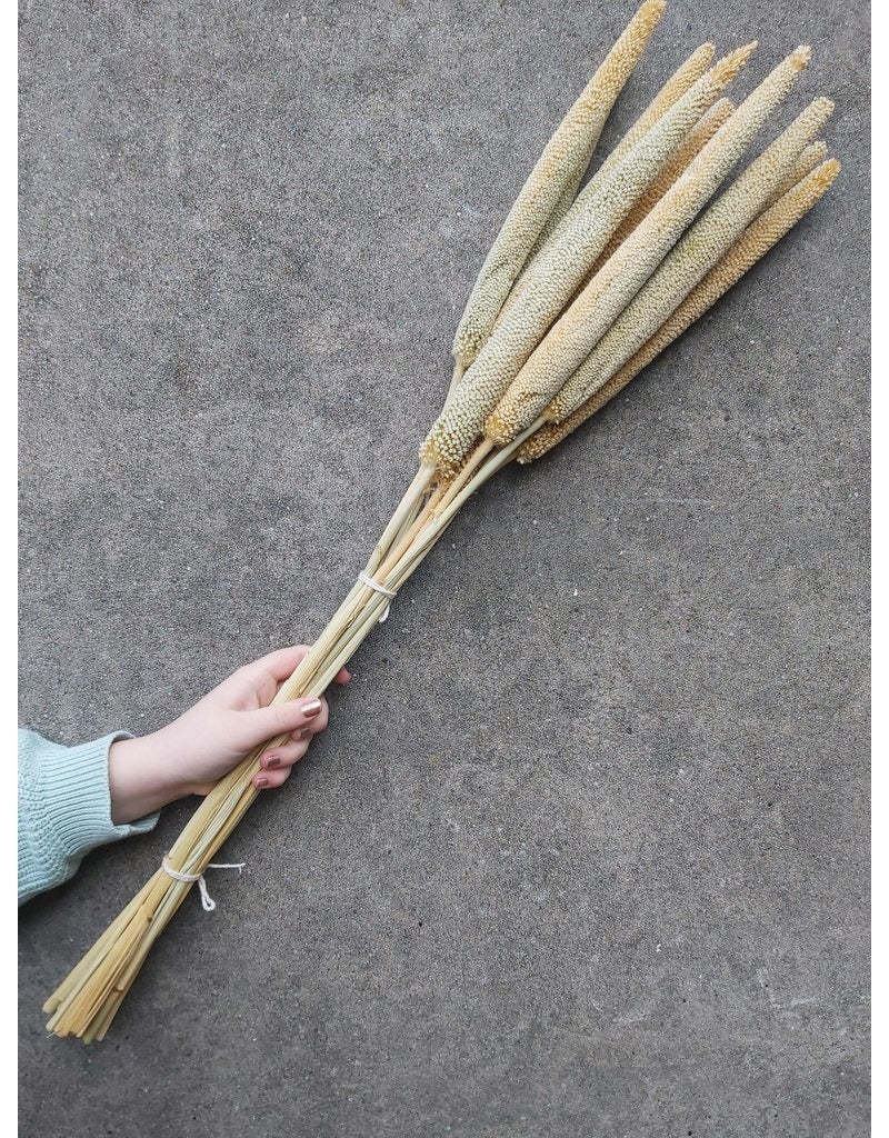 95c6330a-48d8-4cfa-bba6-4ad27eba5b4e-vrijstaandbeeld.jpg (6076904) 