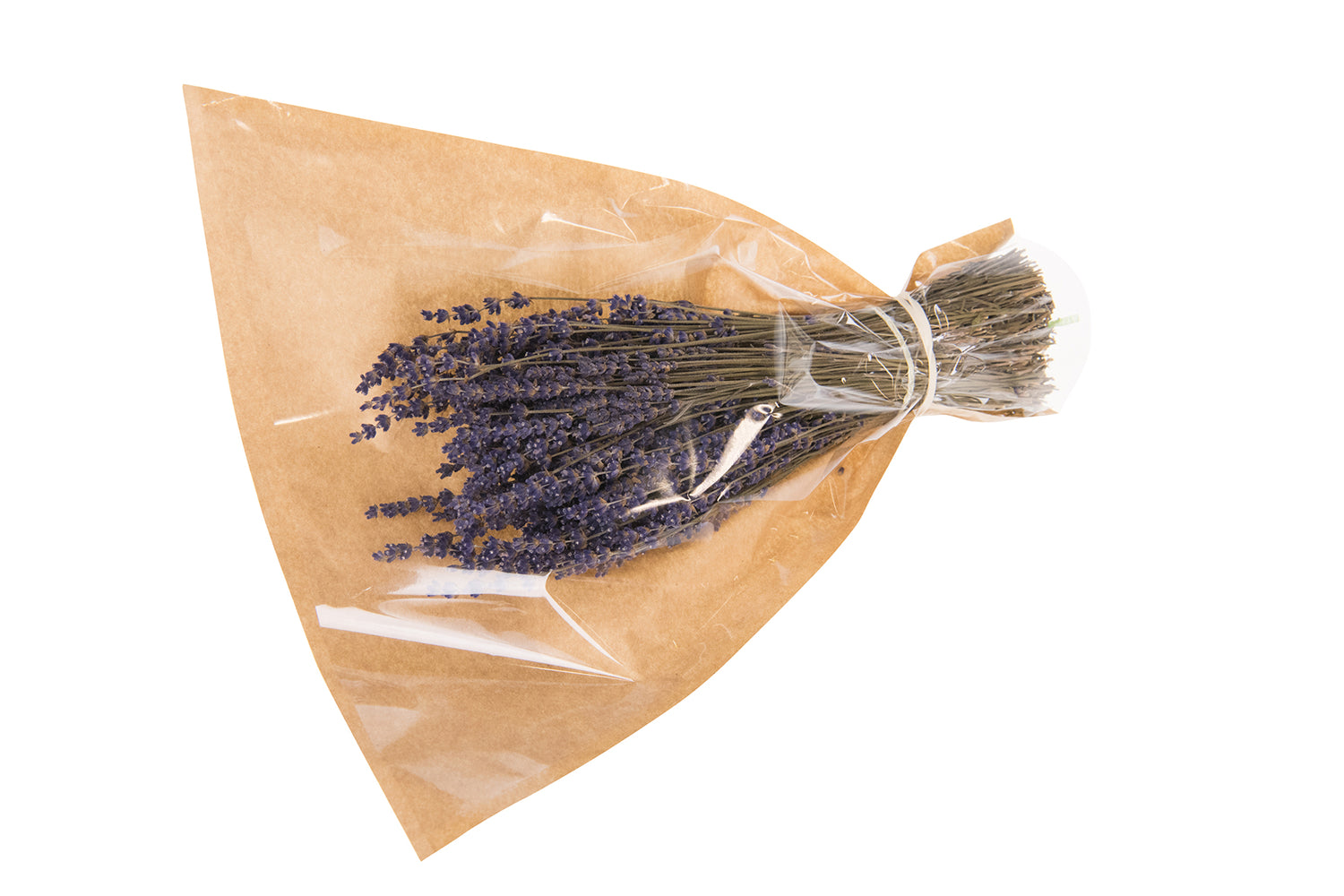 352f5158-4a7d-4b58-9f63-b386db9606f7-vrijstaandbeeld.jpg (6077005) 