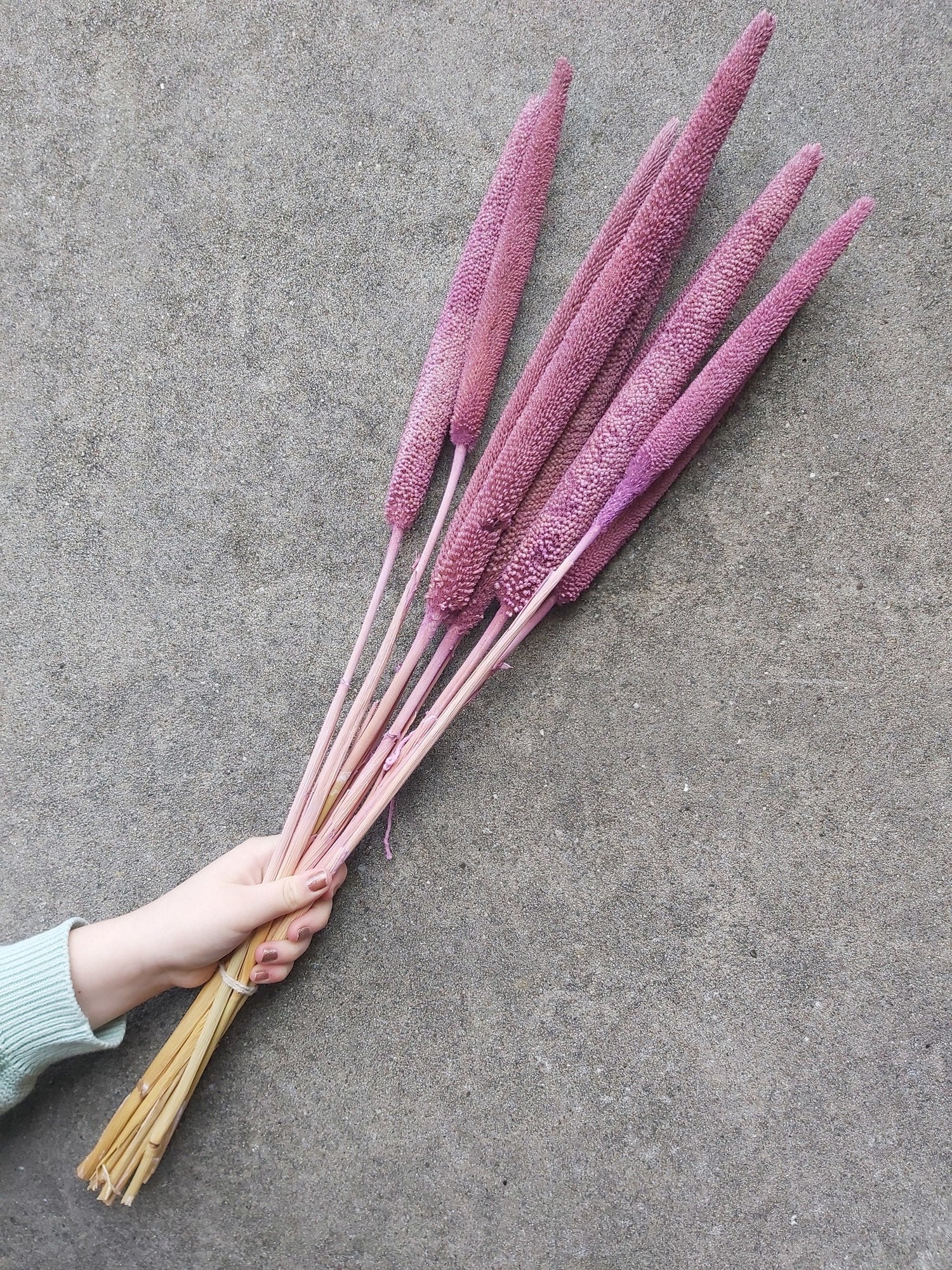 3727cd0d-0eb3-4f4f-9242-ba7d5c1e1c91-vrijstaandbeeld.jpg (6077013) 