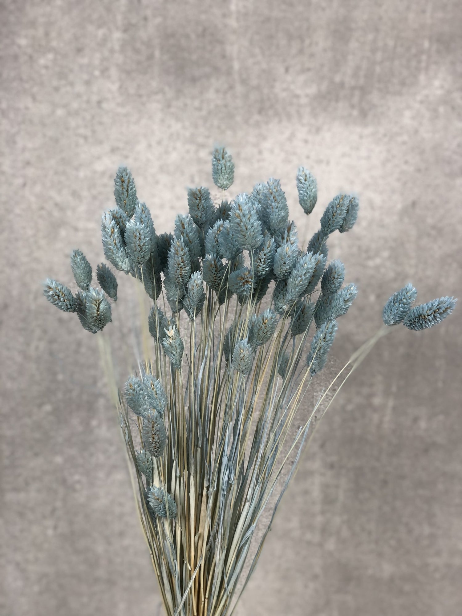 53c2f3e6-adb5-49b6-a5c4-30076440b8d9-vrijstaandbeeld.jpg (6077141) 