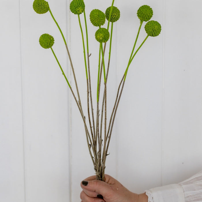 3fcada36-0ecc-4247-b119-57a899be52f8-vrijstaandbeeld.jpg (6077313) 