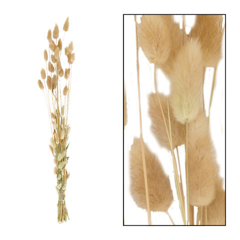 a8614a05-d922-4847-9a22-b92ef7521620-vrijstaandbeeld.jpg (6077379) 