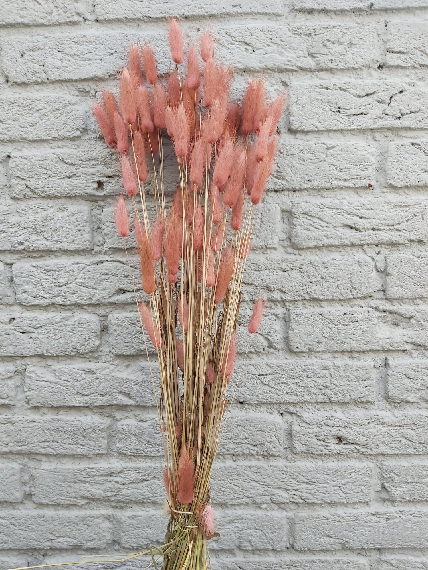 53595524-aaf4-4596-b033-0f24db4c3618-vrijstaandbeeld.jpg (6077380) 