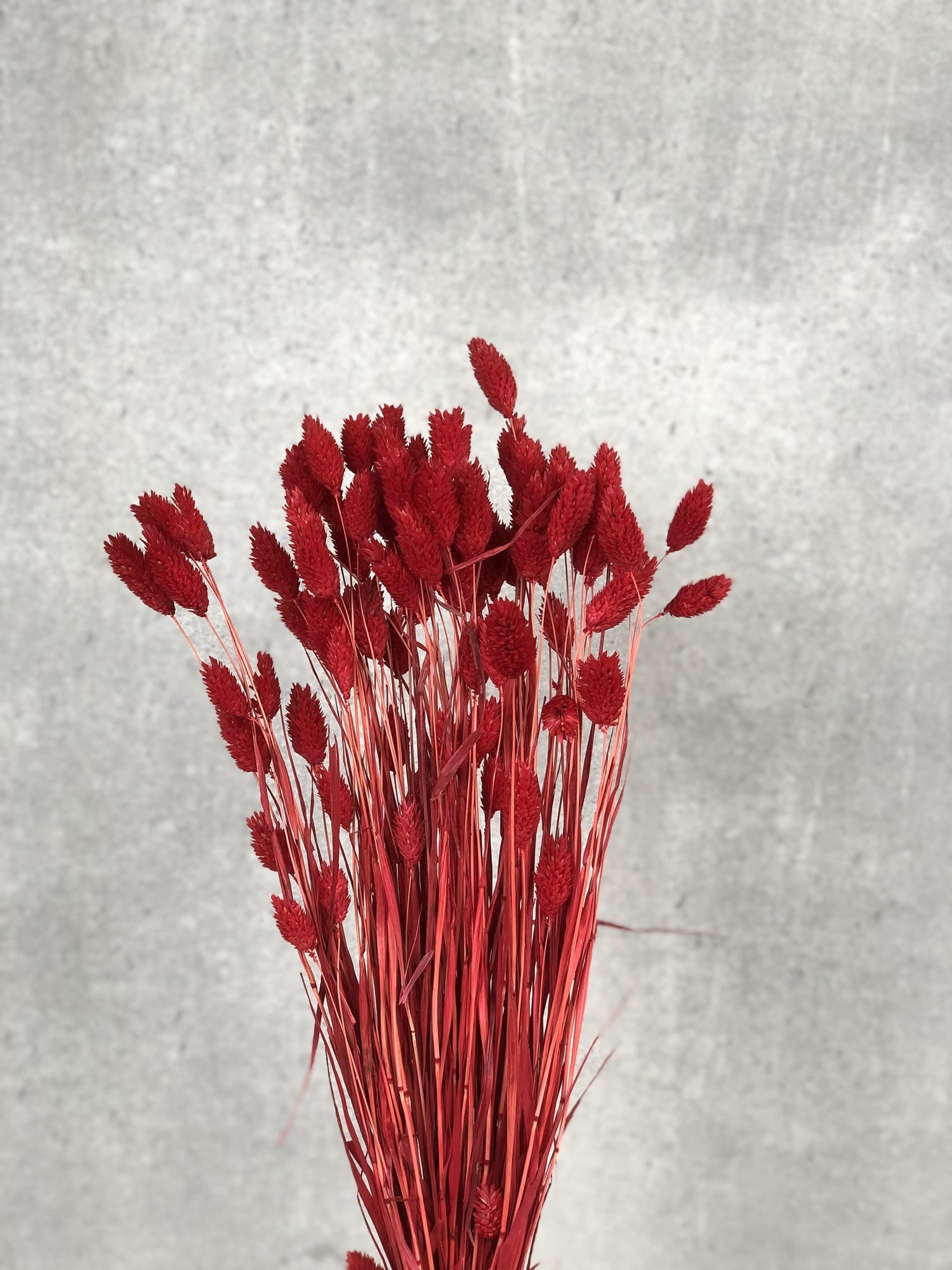 dacf32f5-7214-4d4e-a13d-f5119c78c4bf-vrijstaandbeeld.jpg (6077540) 