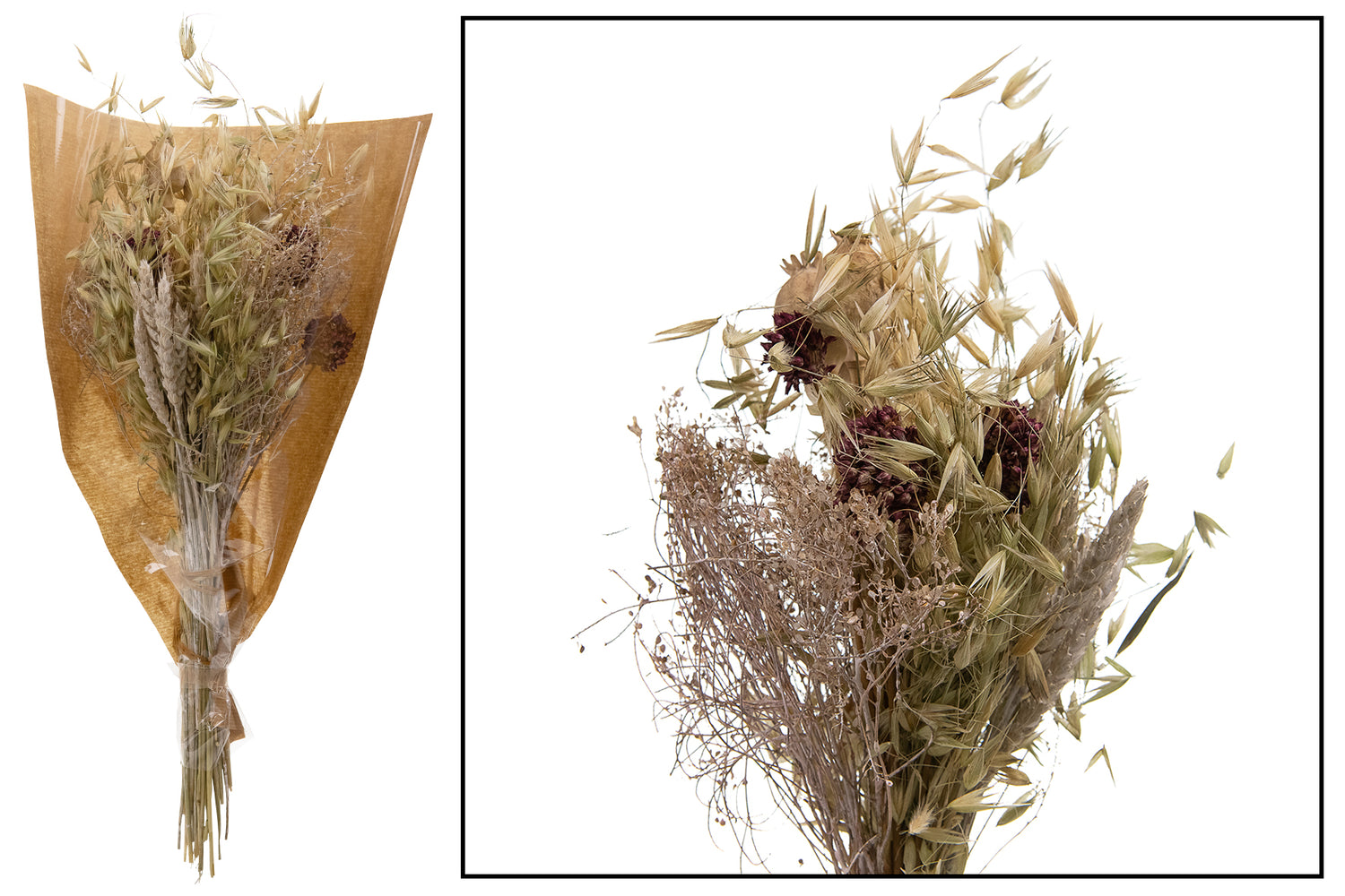 686f8033-40b3-40da-9625-d30a1c068d03-vrijstaandbeeld.jpg (6077559) 