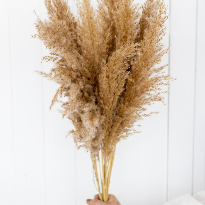 7d4d538f-6563-4a3d-b53d-e24e8df0cdc0-vrijstaandbeeld.jpg (6077629) 