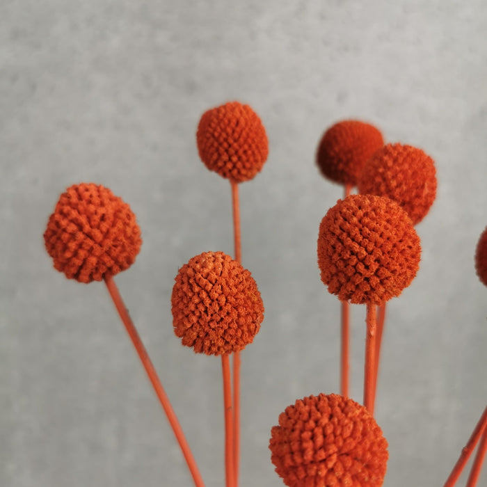 b6d868f7-e67e-43b6-867b-a55feb588317-vrijstaandbeeld.jpg (6077669) 