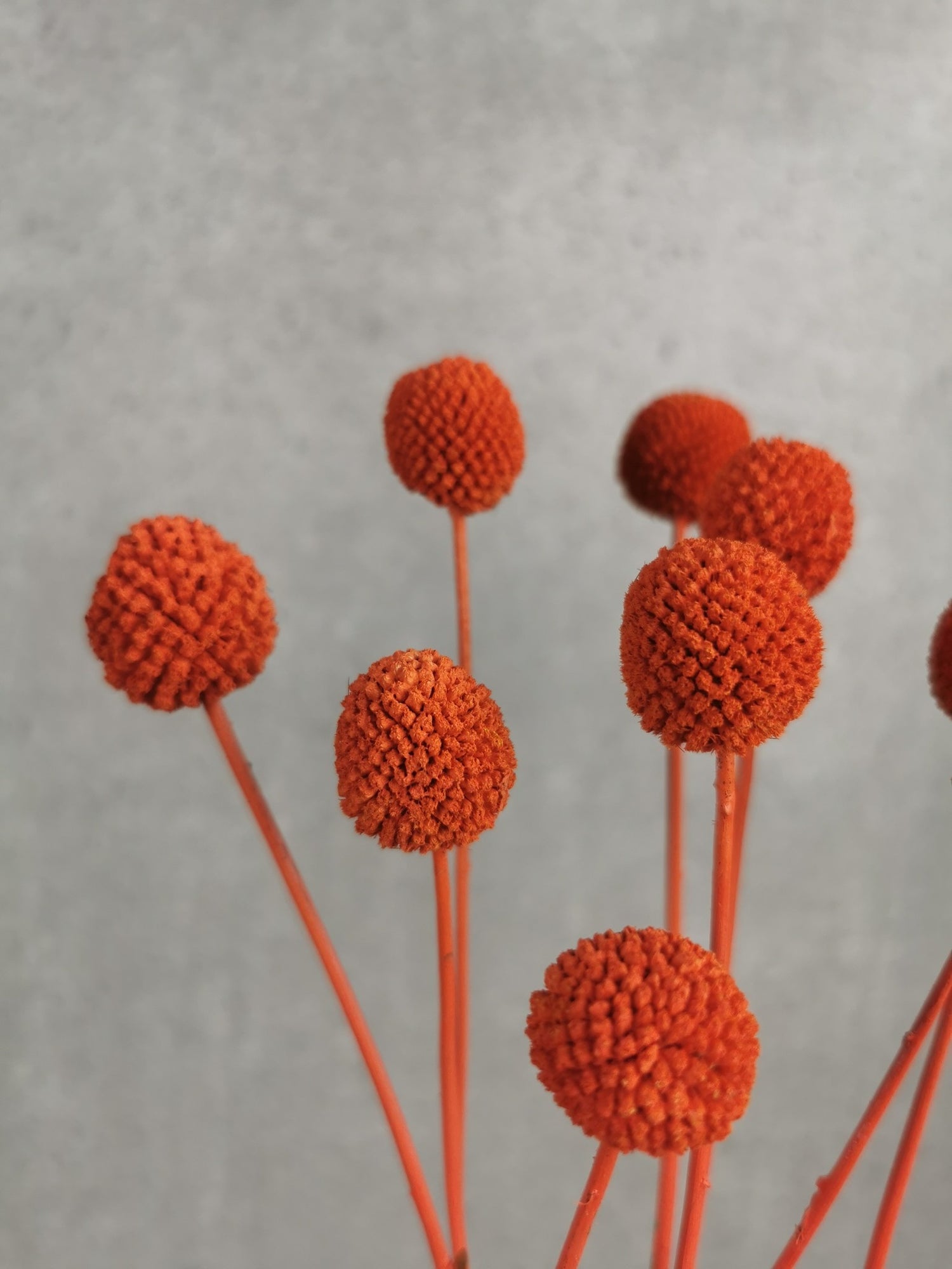 b6d868f7-e67e-43b6-867b-a55feb588317-vrijstaandbeeld.jpg (6077669) 