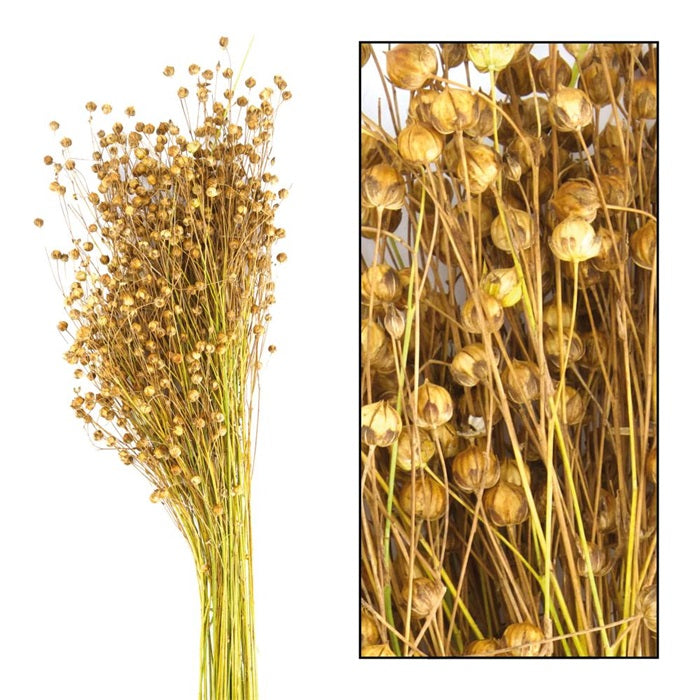 5f44c76a-1832-4b13-ac5f-bbc6fa66d21f-vrijstaandbeeld.jpg (6077681) 