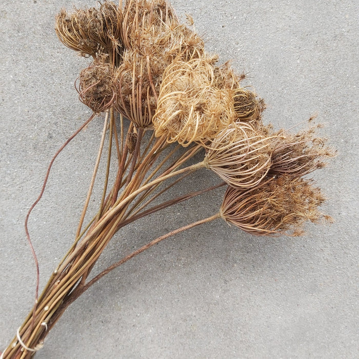 808d5cb1-c319-481f-9ecf-1c506628979a-vrijstaandbeeld.jpg (6077873) 