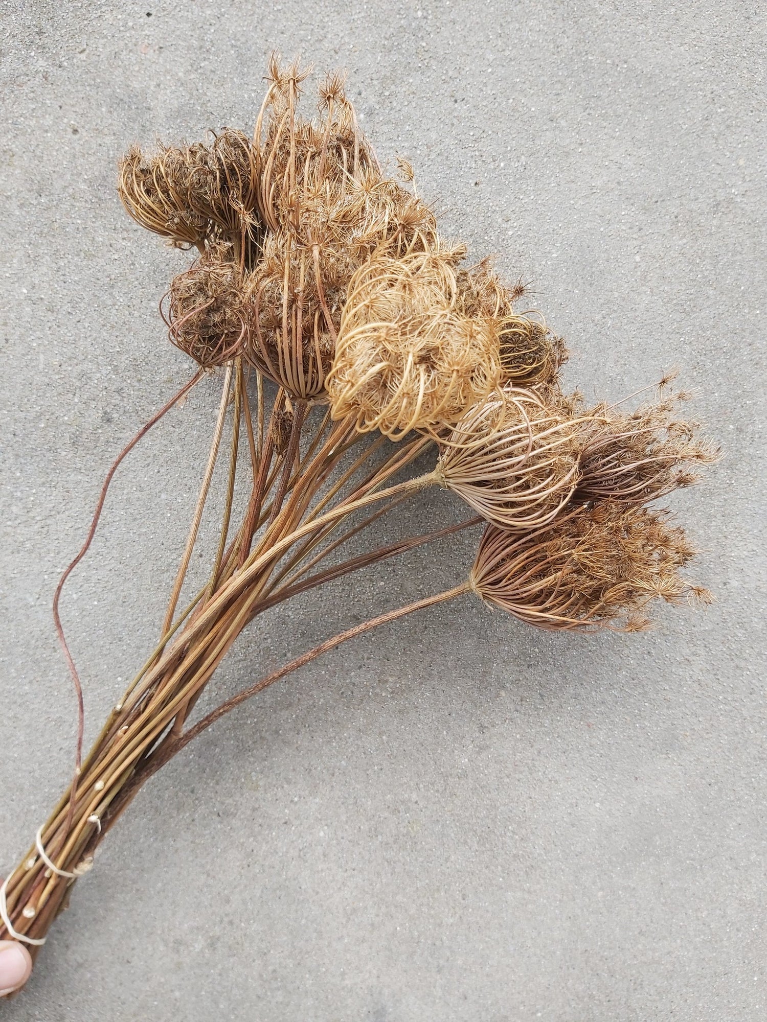 808d5cb1-c319-481f-9ecf-1c506628979a-vrijstaandbeeld.jpg (6077873) 