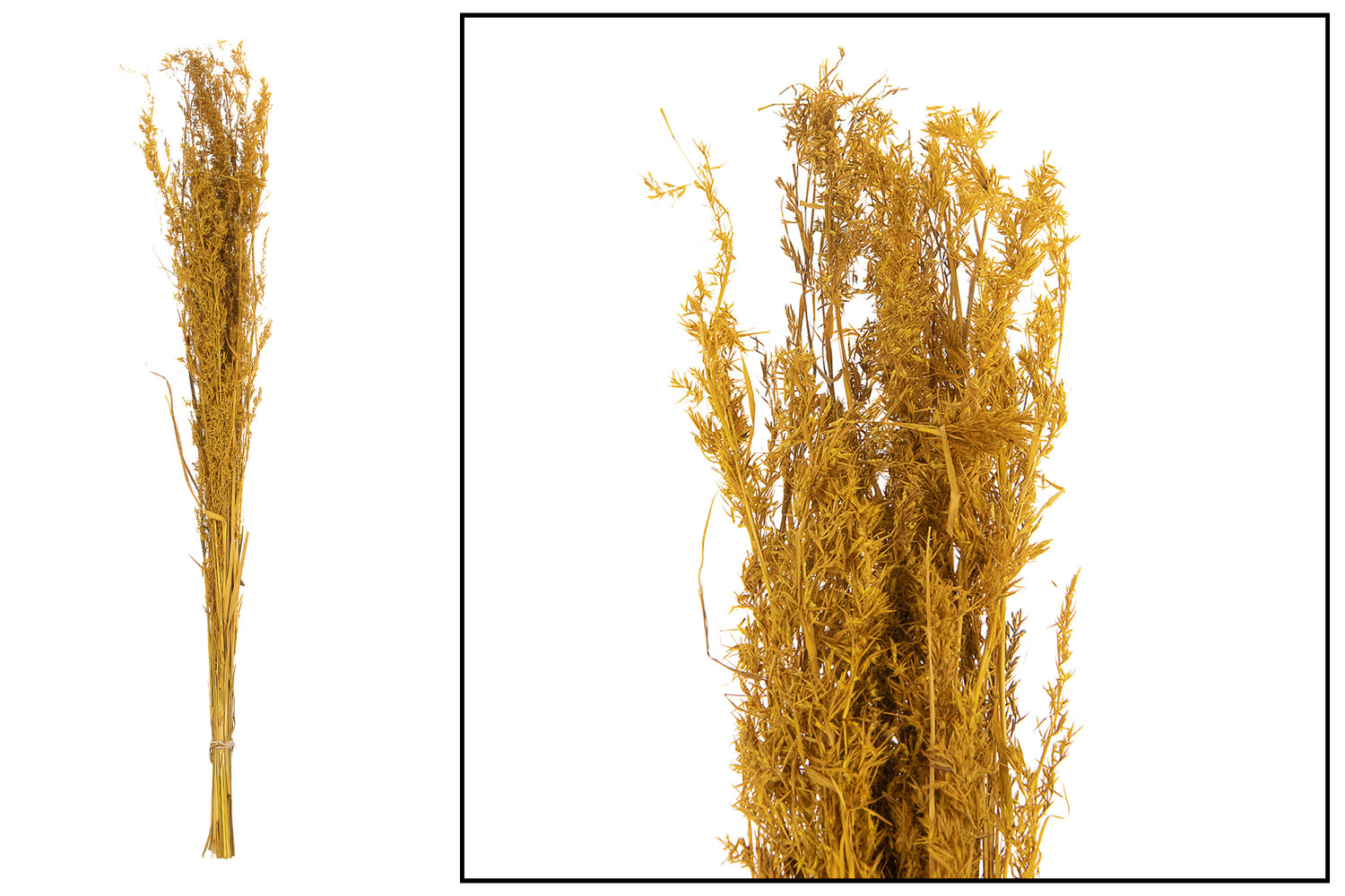 115d470e-6df5-4a7c-9504-19ab0e8e7df4-vrijstaandbeeld.jpg (6077914) 