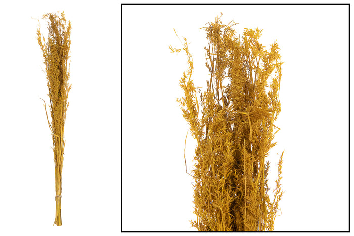 115d470e-6df5-4a7c-9504-19ab0e8e7df4-vrijstaandbeeld.jpg (6077914) 