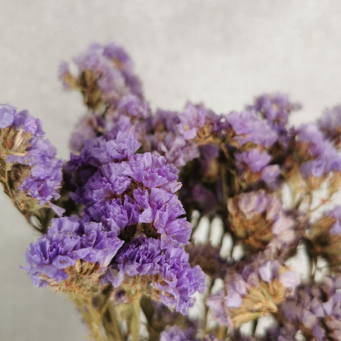 554b6c21-2b06-4d3c-80fd-6456c197c709-vrijstaandbeeld.jpg (6078013) 