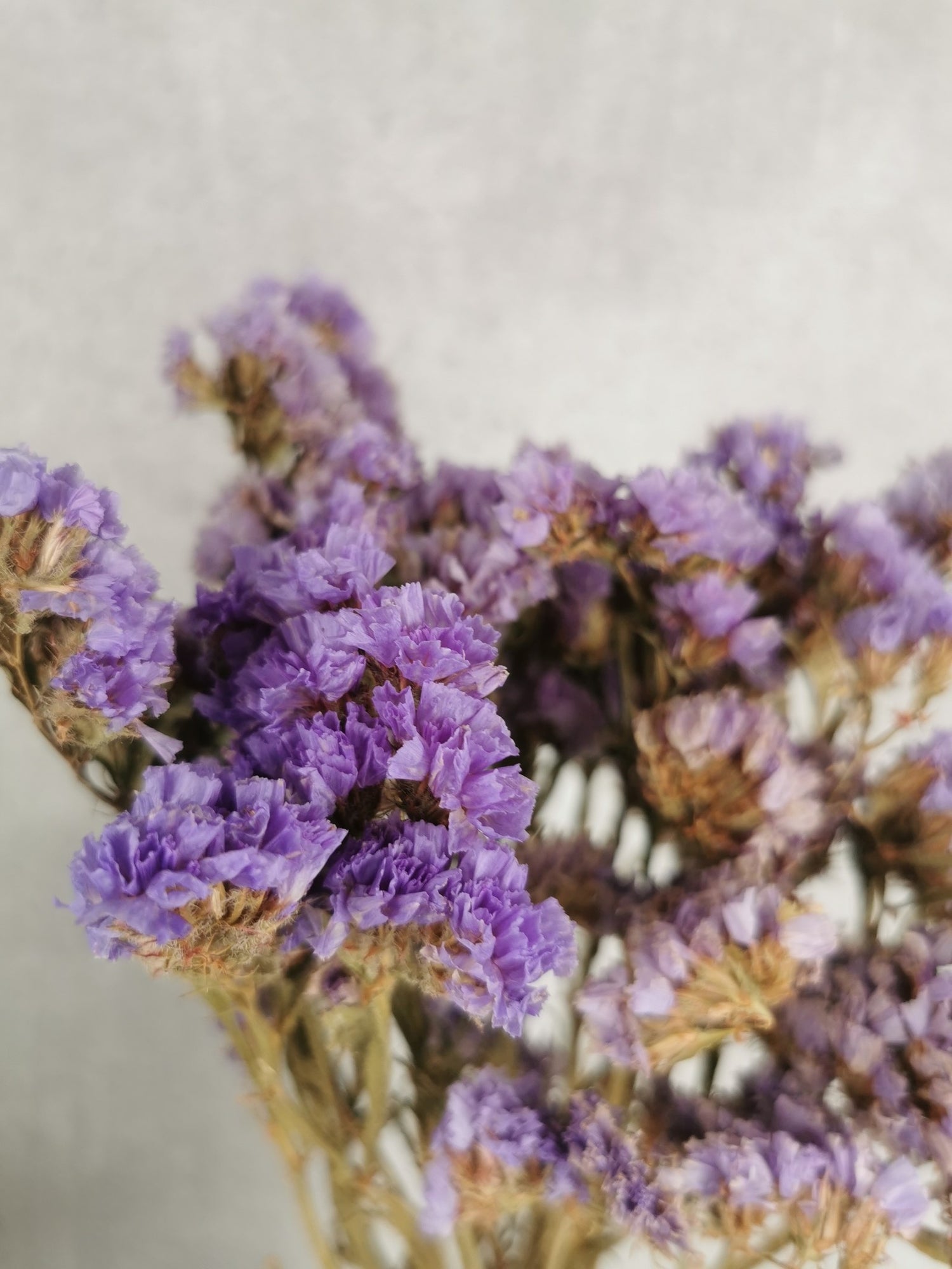 554b6c21-2b06-4d3c-80fd-6456c197c709-vrijstaandbeeld.jpg (6078013) 