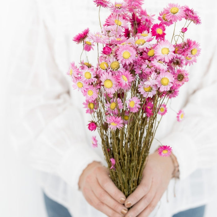 8e31907e-5ae3-49db-a1f4-9fca0810df68-vrijstaandbeeld.jpg (6078030) 