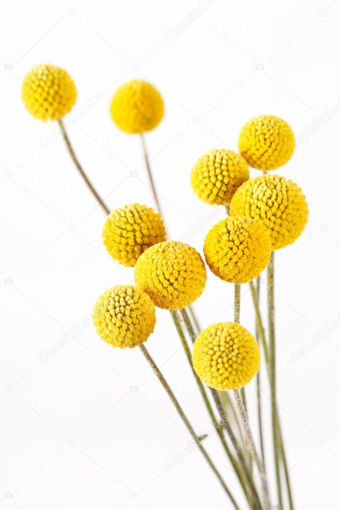 bf907325-41a7-4896-a013-7ed62b625476-vrijstaandbeeld.jpg (6078151) 