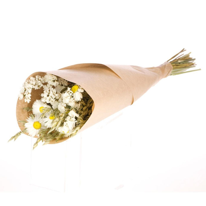 3f11bf3d-712f-42d8-bd93-1895a62536c0-vrijstaandbeeld.jpg (6078174) 