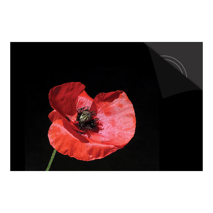 Inductie Beschermer - Exclusief - Klaproos Print - 90x52cm