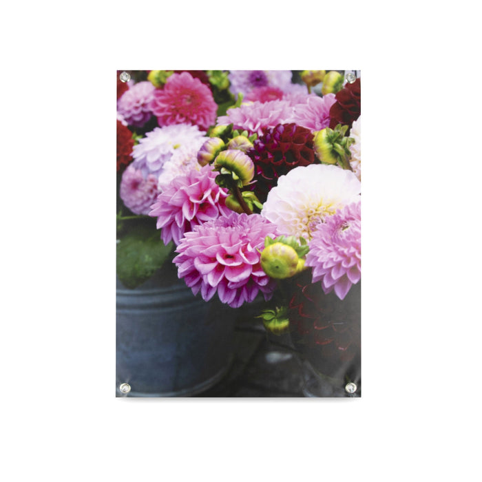 Art for the Home | Tuinposter - Dahlia's - 70x50 cm