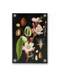 Villa Madelief Tuinposter botanisch amandel (70x100cm)