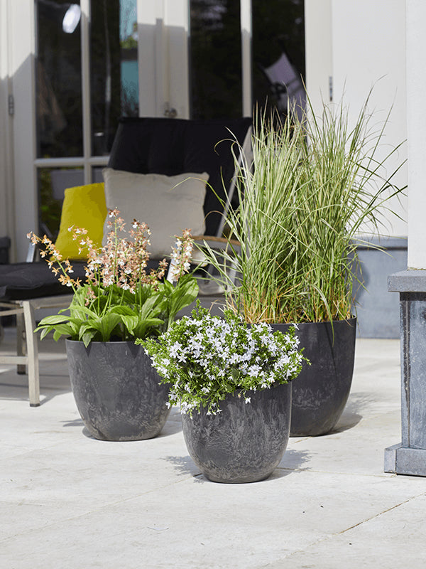 818b45ac-0aee-4f7a-8d67-22569ff1759f-afbeelding10.jpg (6277396) 