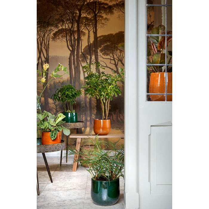 108c73fb-9662-4996-b58f-6b93bd54627a-afbeelding4.jpg (6288319) 