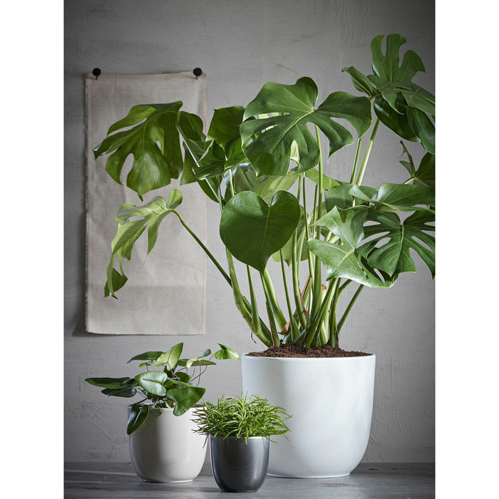 eaf99cc3-ab7c-4223-ad12-ec01ed02f901-sfeerbeeld.jpg (6289612) 