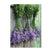 Art for the Home Lavendel Buitencanvas 70x50 cm