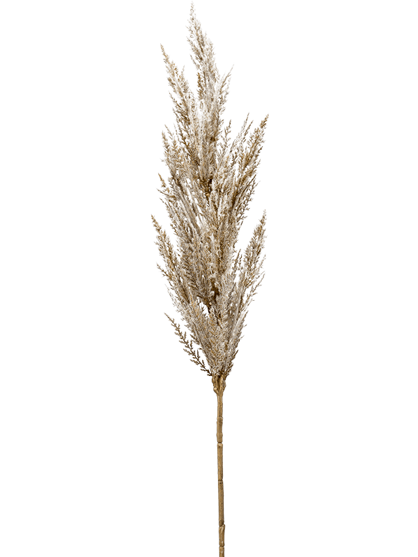 Fleurdirect Grass Pampas kunstplant