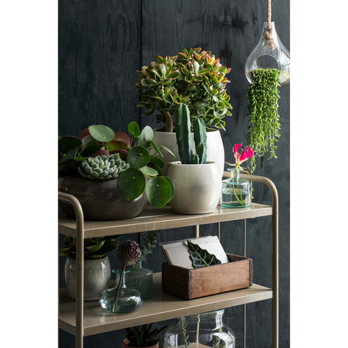 08210204-a4af-47aa-bc1f-365a16169e49-sfeerbeeld.jpg (6369948) 