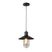 QUVIO Hanglamp metaal en glas - QUV5082L-BLACK