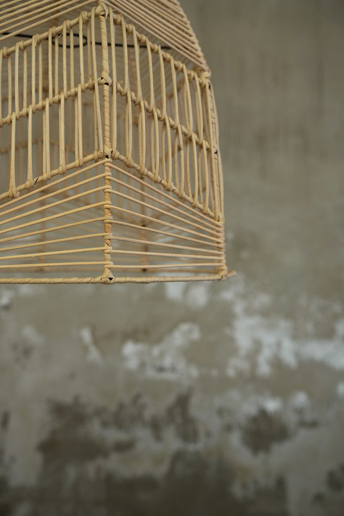 969526a8-058d-425f-947d-53e2ddd774b2-afbeelding7.jpg (6420381) 