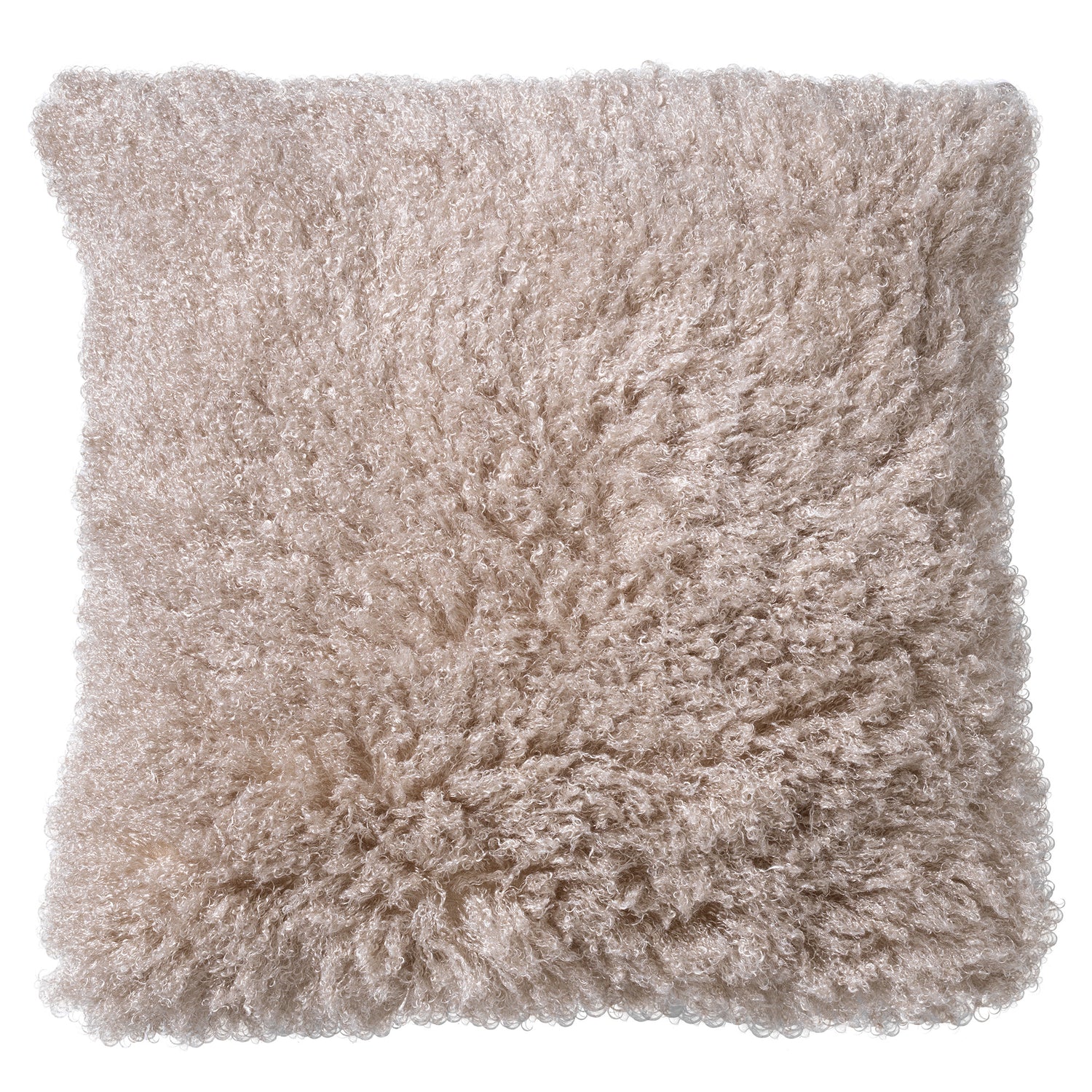 bba977cc-2239-484b-85a1-d6911ee48a1a-vrijstaandbeeld.jpg (6453130) 