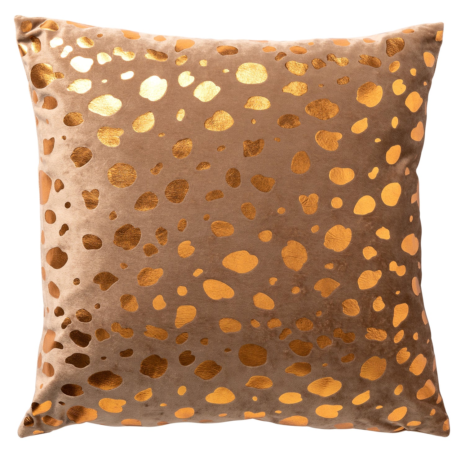 96400648-24ed-4a08-a342-ec657429df91-vrijstaandbeeld.jpg (6458147) 