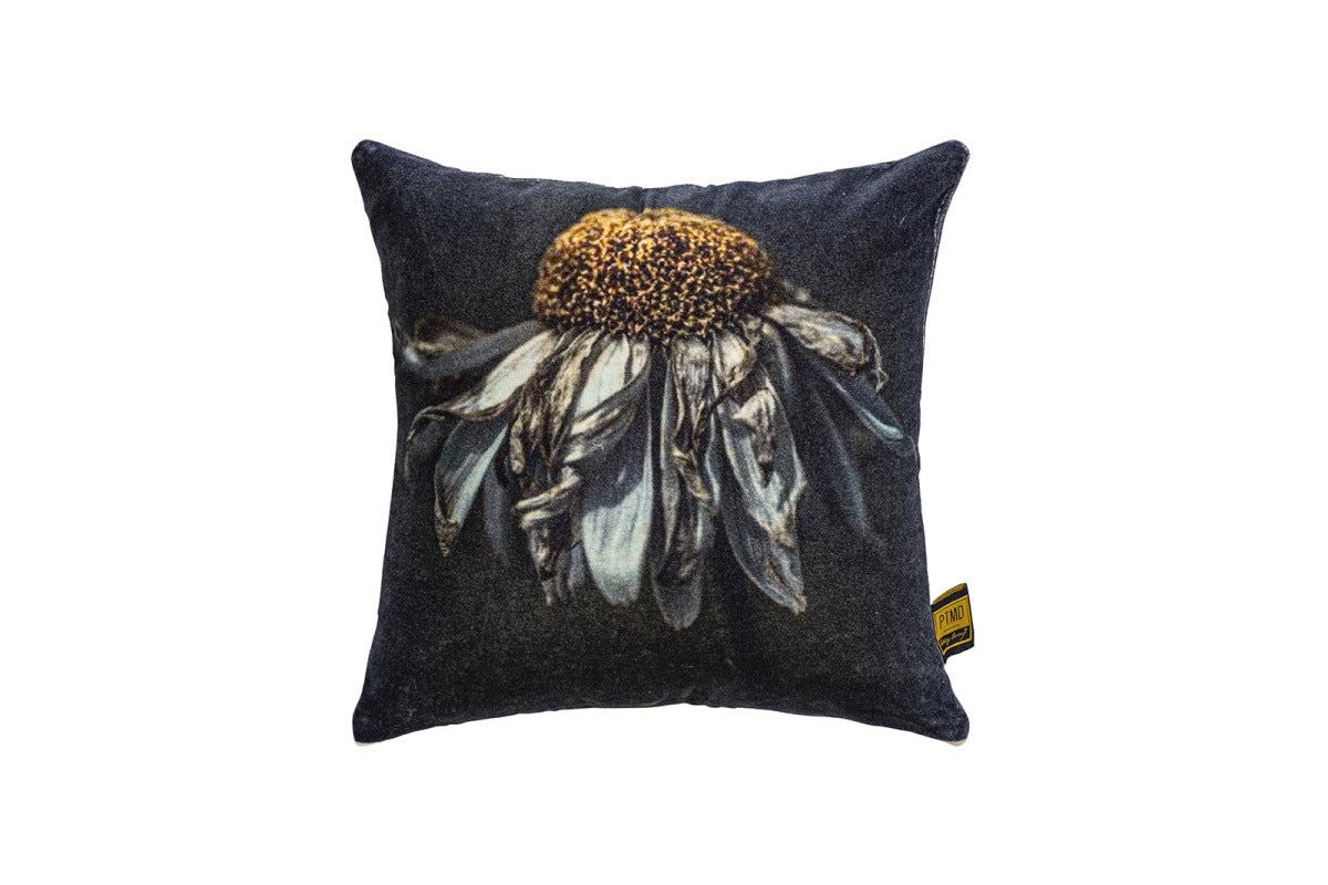 df9ea154-b32f-4a71-9d98-b1c46e41a6e5-vrijstaandbeeld.jpg (6463105) 