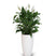 Fleurdirect Lepelplant large in Elho pot