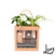 LOFE | Geschenkset Urban jungle op water