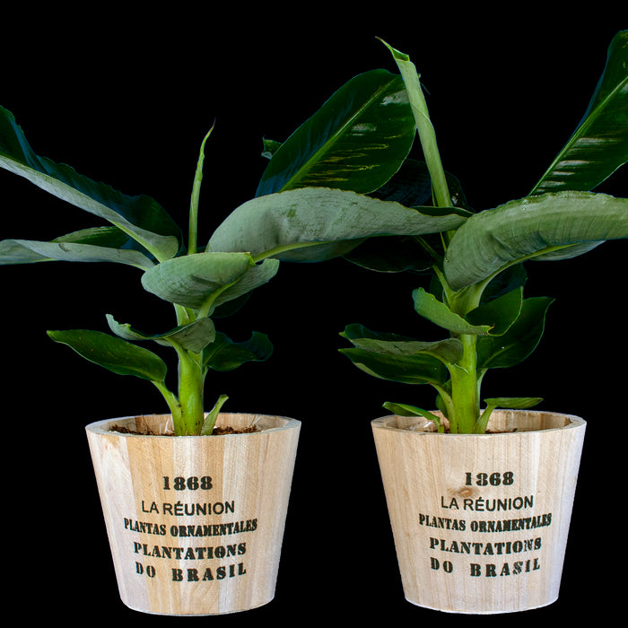 6d0f3eb5-7079-4a18-8890-1a12ce9abad3-vrijstaandbeeld.jpg (6692255) 