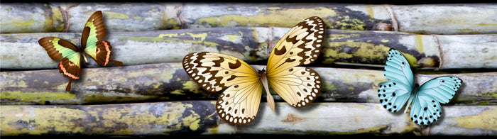 Sanders & Sanders zelfklevende behangrand vlinders grijs, geel en blau