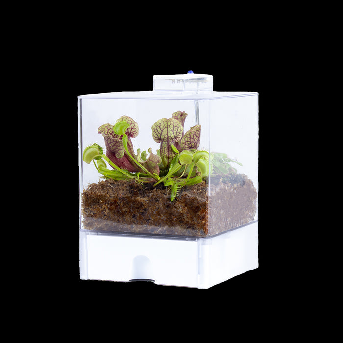 42d7c3d0-850c-49d3-ab9e-4b779aa7cf04-vrijstaandbeeld.jpg (6698129) 