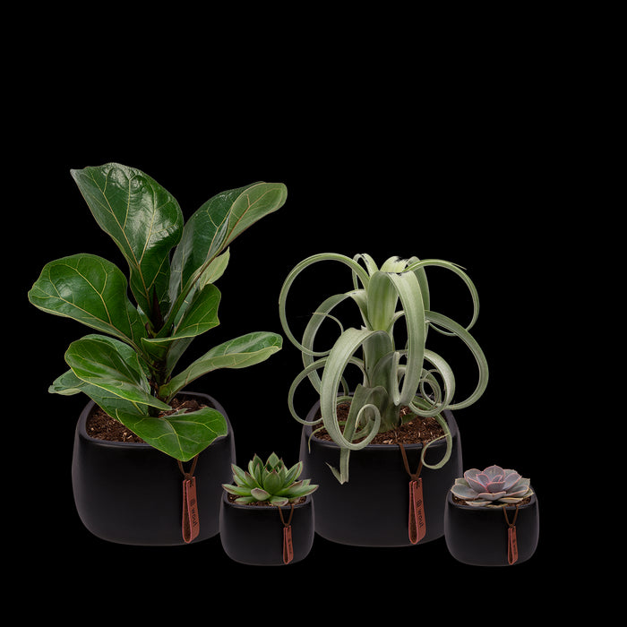 b569b21b-679c-40a3-bd13-dcfacc7ab013-vrijstaandbeeld.jpg (6699840) 