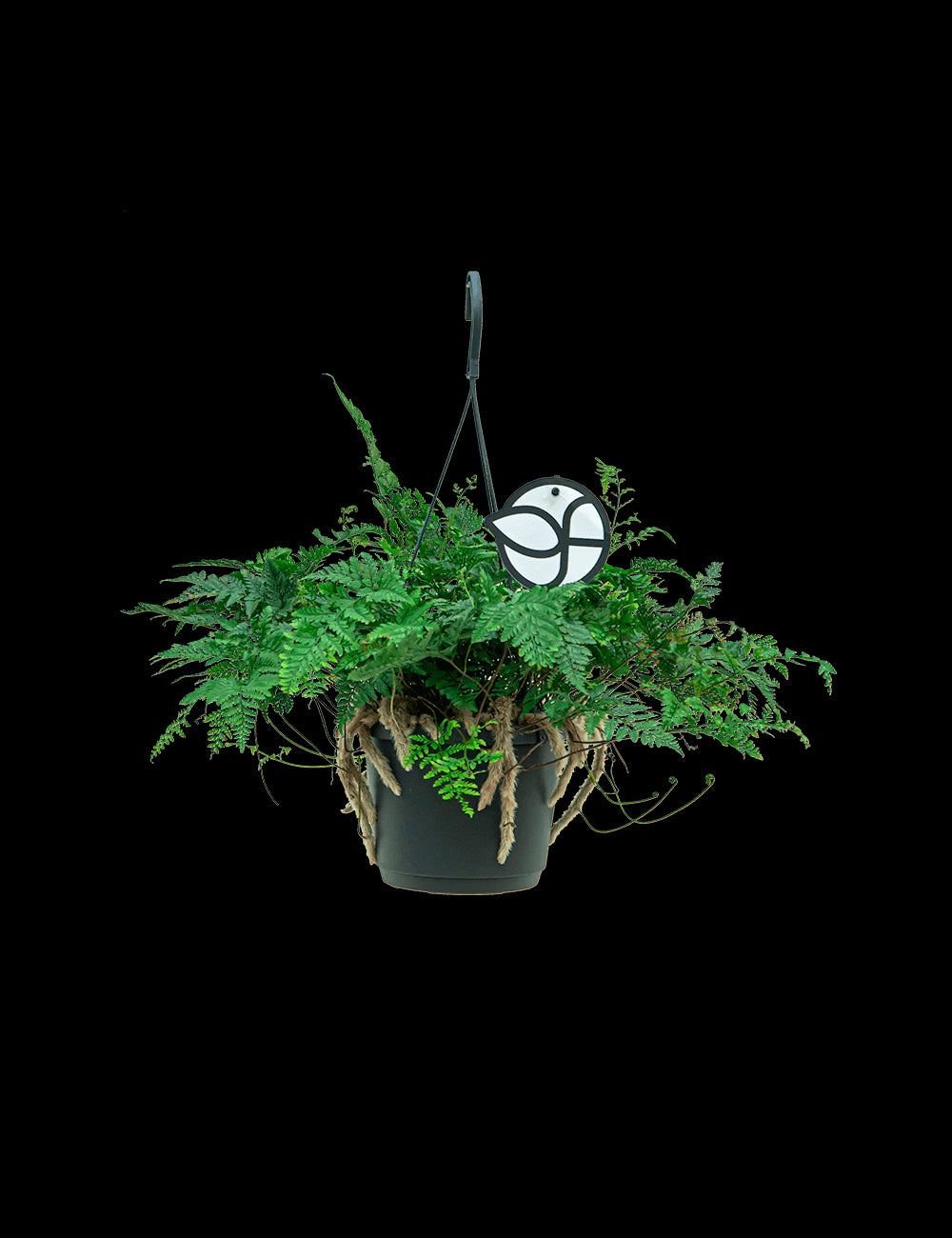 dc936129-1e92-4acb-81d3-a90159247911-vrijstaandbeeld.jpg (6703118) 