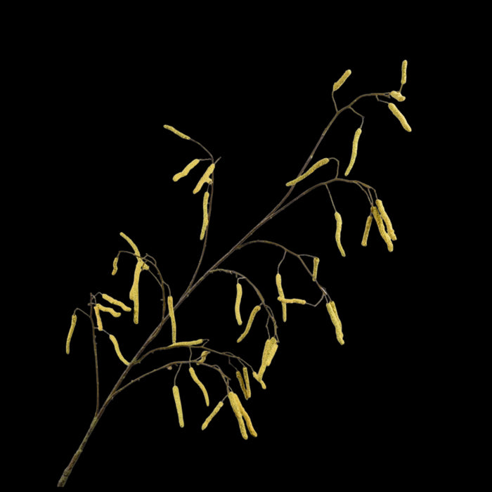 7e88dda5-aef2-4b93-9cbe-752a94dc3eac-vrijstaandbeeld.jpg (6714751) 