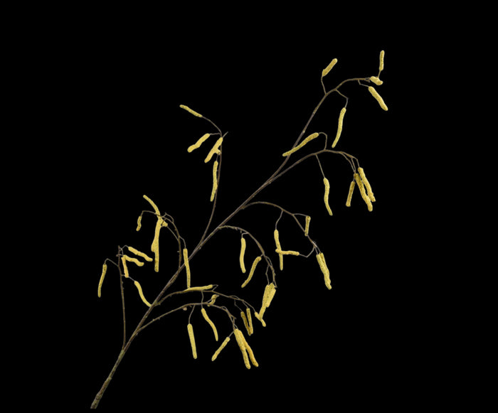 7e88dda5-aef2-4b93-9cbe-752a94dc3eac-vrijstaandbeeld.jpg (6714751) 