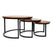 Dimehouse Industriële salontafel set van 3 Cedric