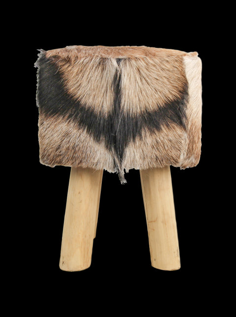 1922d85b-0a4b-4d2b-8dc4-25194204a90c-vrijstaandbeeld.jpg (6869780) 