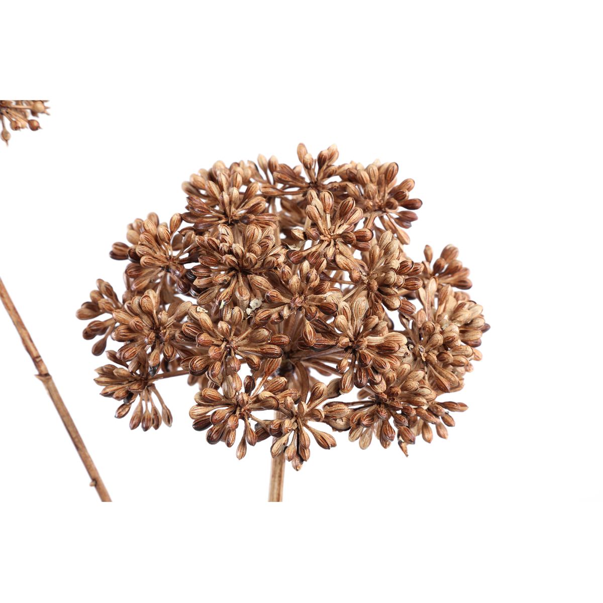 PTMD Eucalyptus Kunsttak - 29 x 22 x 79 cm  - Kunststof - Bruin